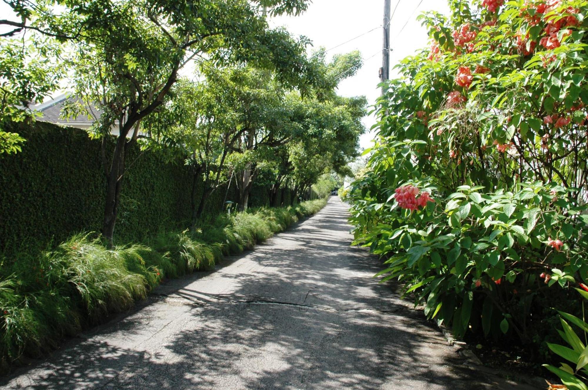 The Gardens Villa Kingston Exterior photo